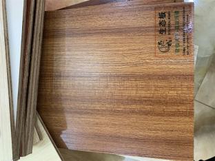 君臨天下—直紋浮雕