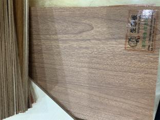 清風有情—零度雨絲